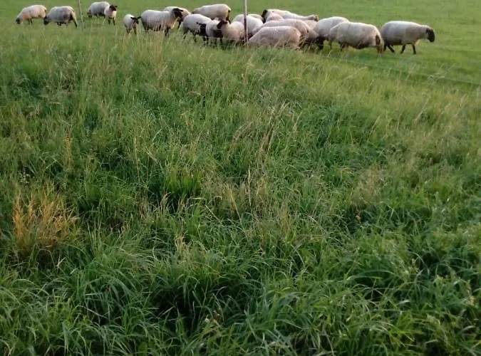 Dağ evi Pa Frenštát pod Radhoštěm